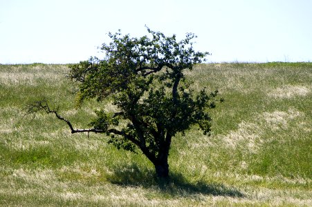 Landscape Innviertel Upper Austria 02