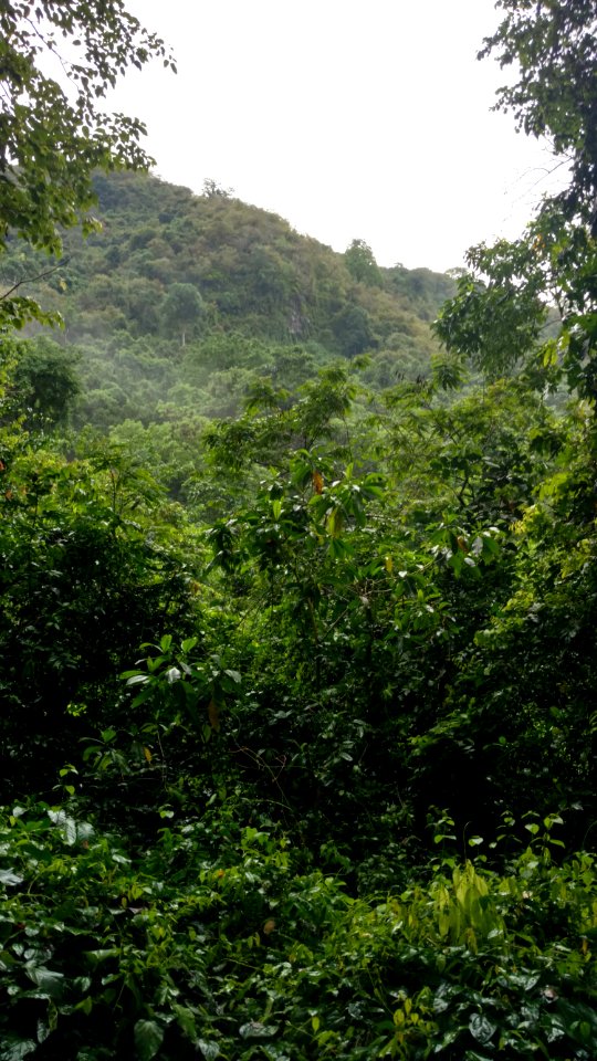 Landscape in Lombok