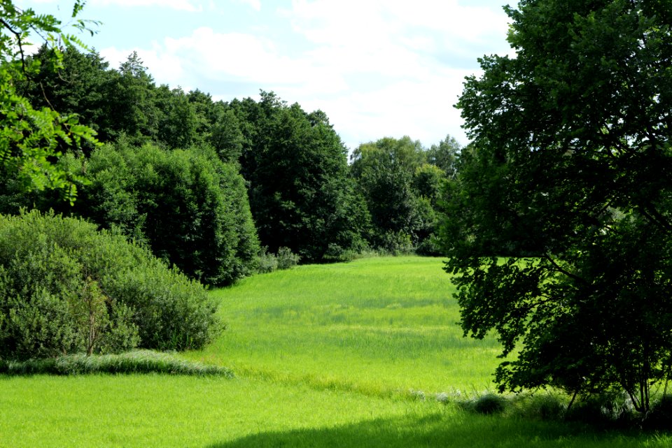 Lange Dammwiesen und Unteres Annatal near Stienitzsee 2020-07-22 139