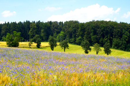 Landscape Innviertel Upper Austria 03