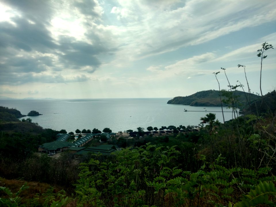 Landscape in florès 2