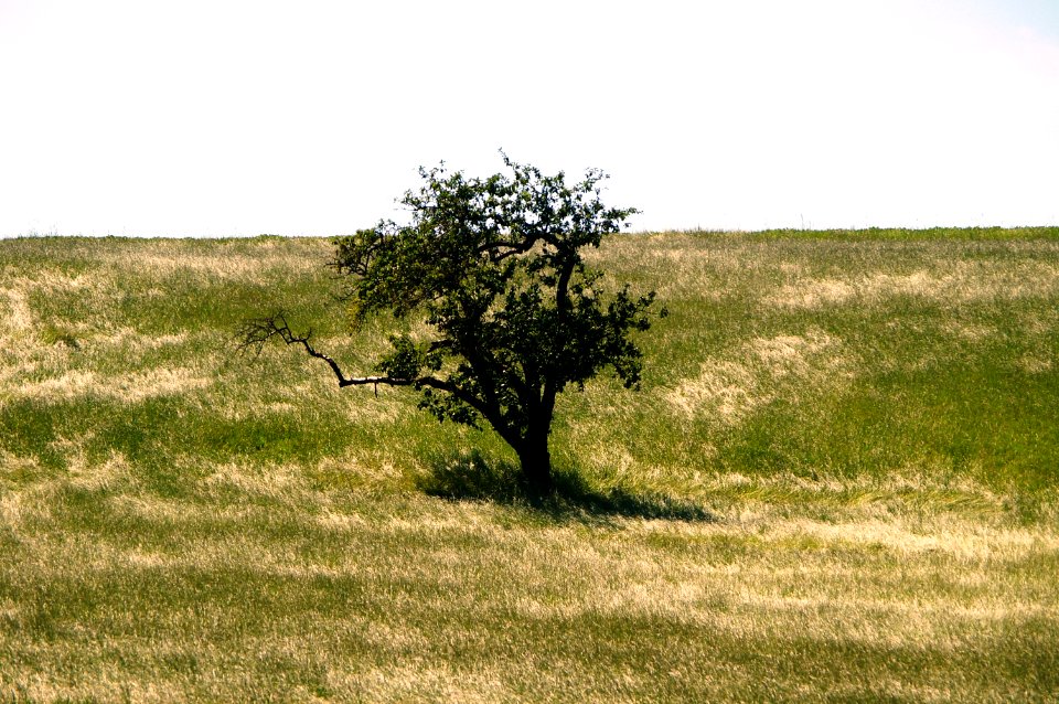 Landscape Innviertel Upper Austria 01