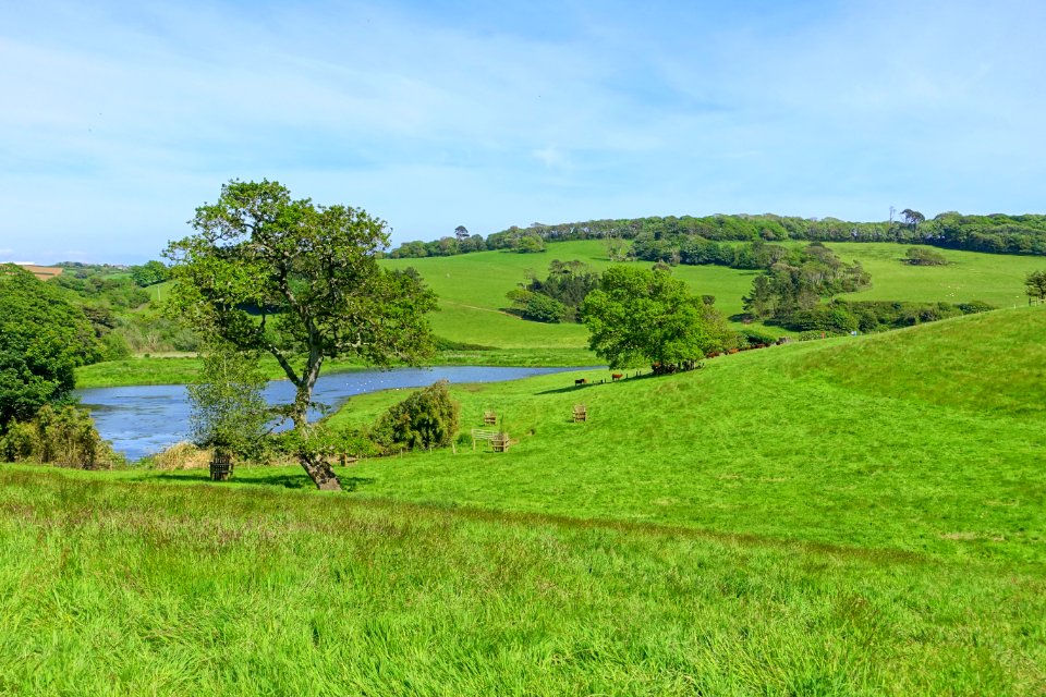Landscape - Caerhayes Castle - Cornwall, England - DSC03326