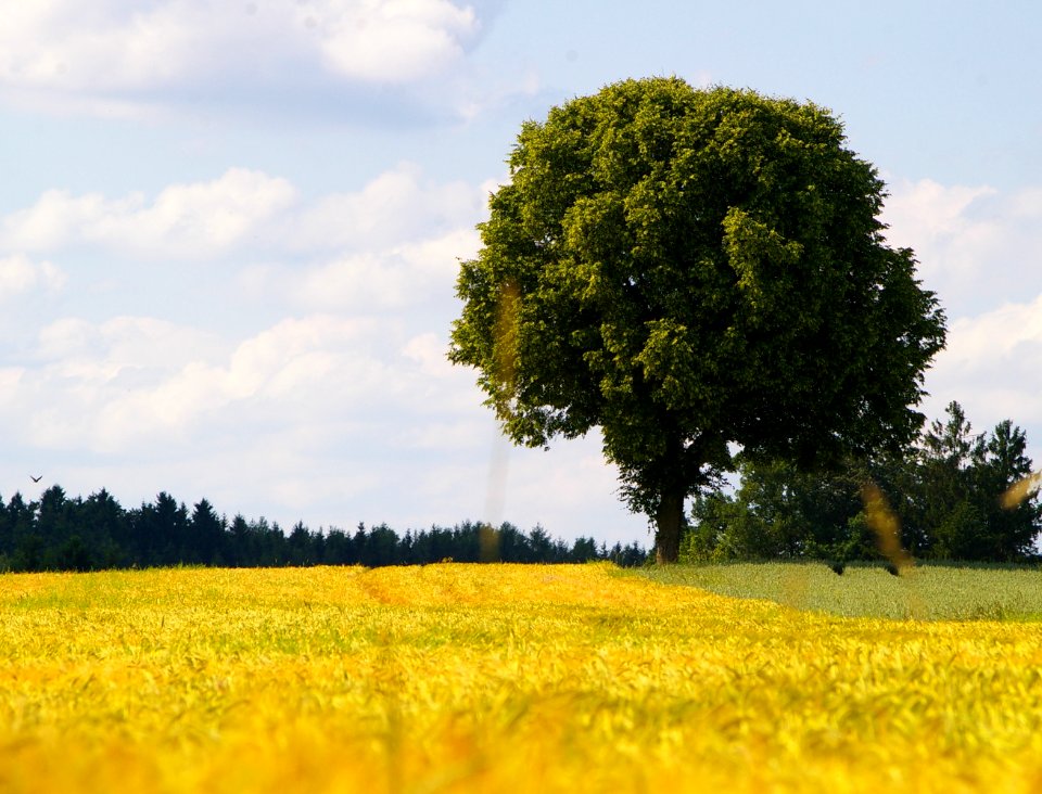 Landscape Innviertel Upper Austria 07