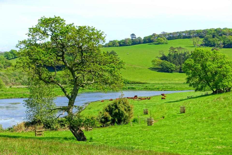Landscape - Caerhayes Castle - Cornwall, England - DSC02886