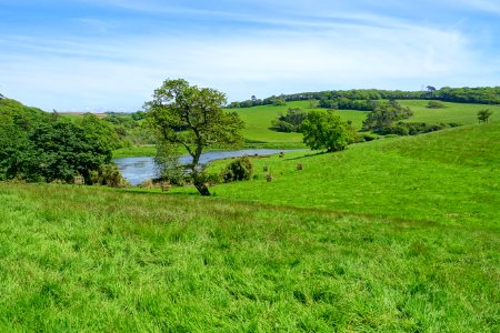 Landscape - Caerhayes Castle - Cornwall, England - DSC02884