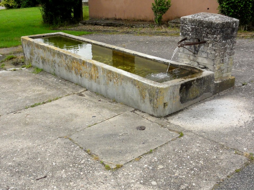 Laneuveville-aux-Bois (M-et-M) fontaine C