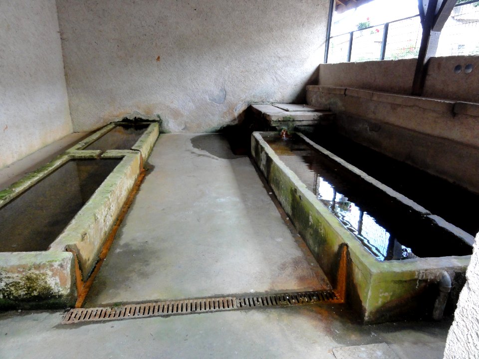Laneuveville-devant-Bayon (M-et-M) lavoir, intérieur