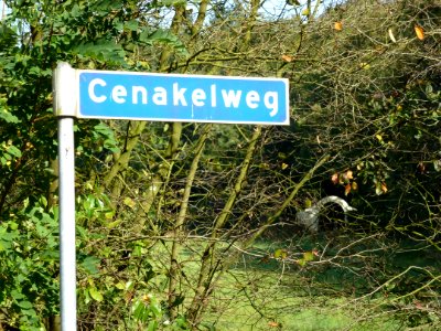 Lanenstelsel Heilig Landstichting 03 Cenakelweg