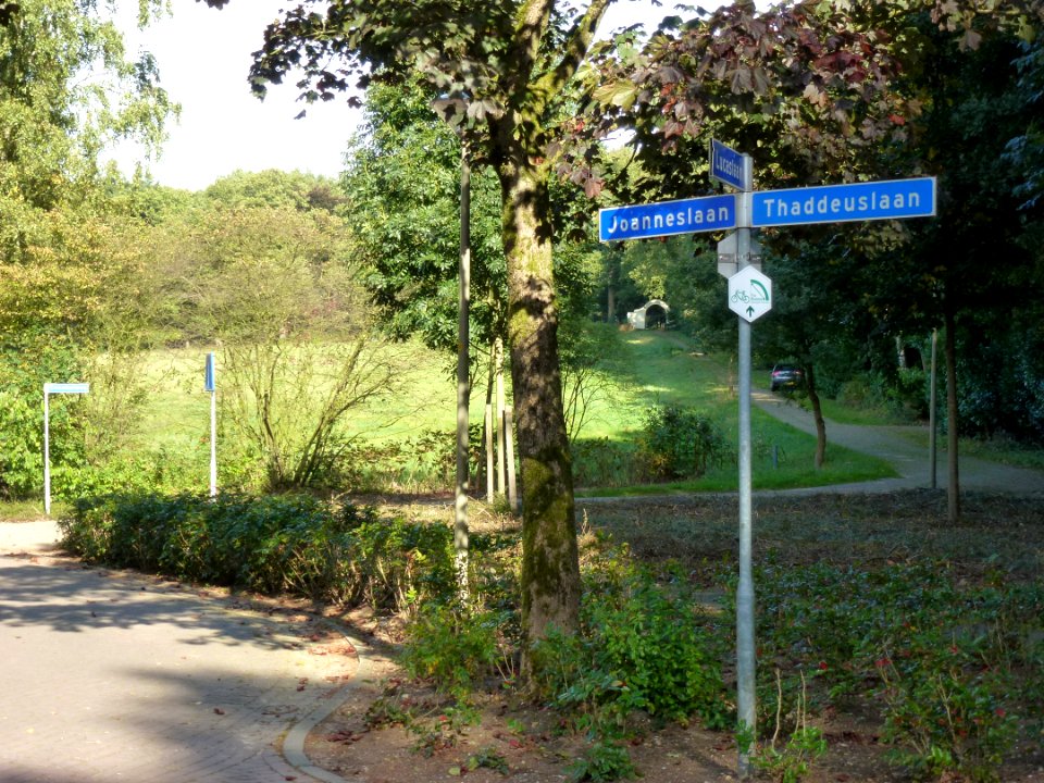 Lanenstelsel Heilig Landstichting 02 Cenakelweg, zijweg van de Johanneslaan