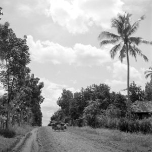 Landweg op Java, Bestanddeelnr 255-6724