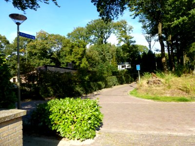 Lanenstelsel Heilig Landstichting 01 Carmelweg hoek Johanneslaan
