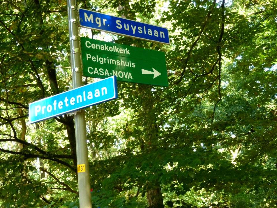 Lanenstelsel Heilig Landstichting 12 Mgr. Suyslaan hoek Profetenlaan
