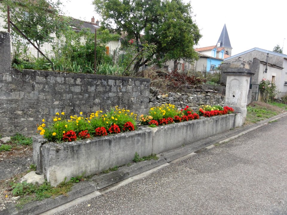 Laneuville-au-Rupt (Meuse) fontaine C