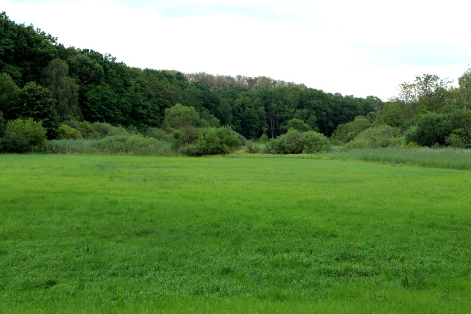 Lange Dammwiesen und Unteres Annatal near Stienitzsee 2020-07-22 166