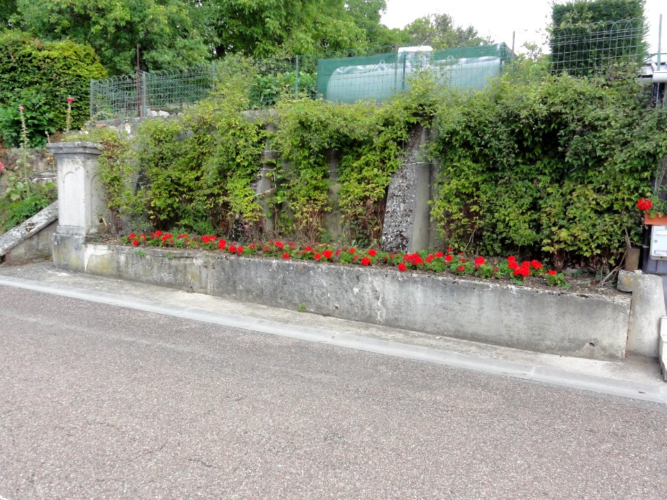 Laneuville-au-Rupt (Meuse) fontaine D
