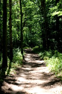 Lange Dammwiesen und Unteres Annatal near Stienitzsee 2020-07-22 33