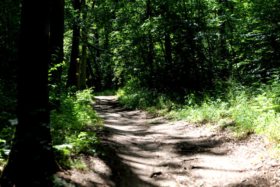 Lange Dammwiesen und Unteres Annatal near Stienitzsee 2020-07-22 36