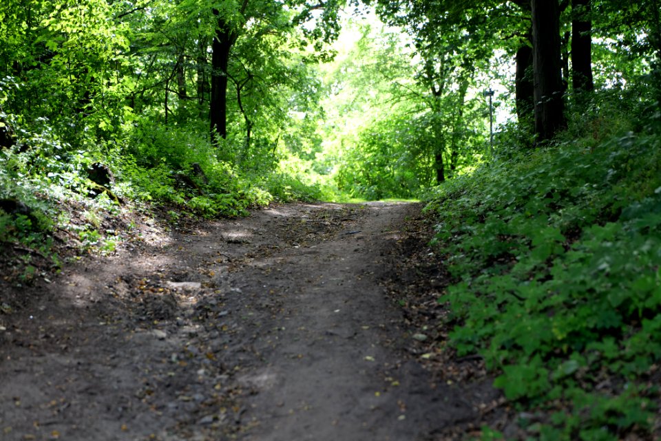 Lange Dammwiesen und Unteres Annatal near Stienitzsee 2020-07-22 179