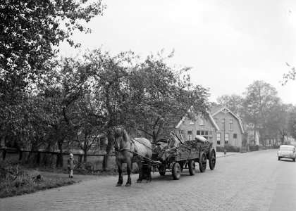 Landbouwtransport, paarden, wagens, straten, ruilverkaveling vriezenveen, Bestanddeelnr 162-1331