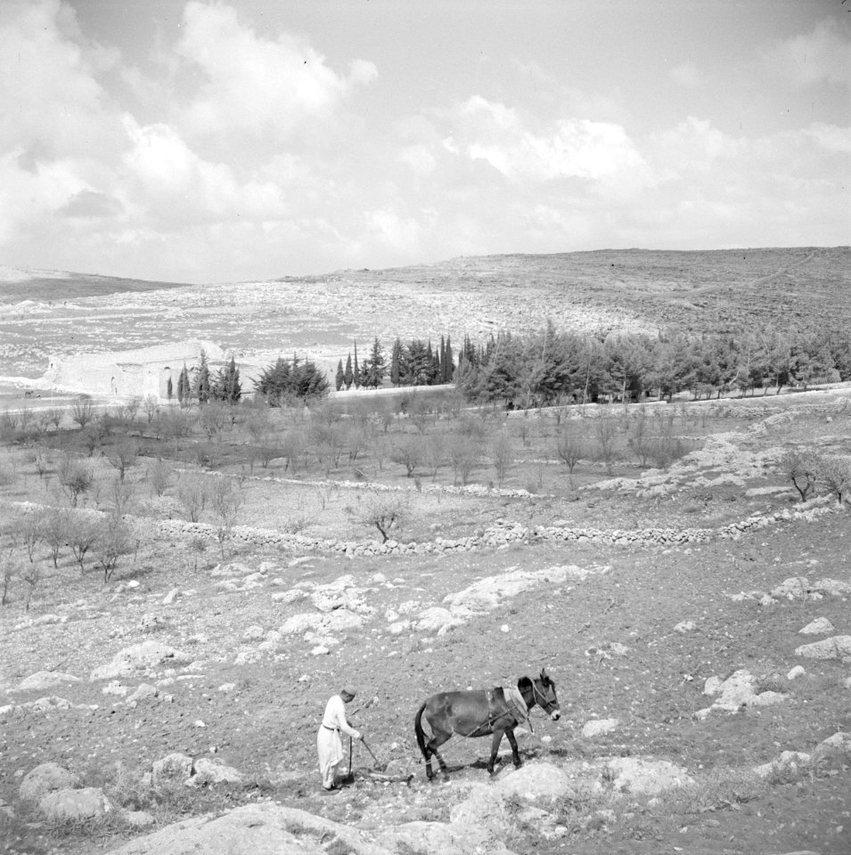 Landschap buiten Bethlehem. Vijver van Salomon langs de weg van Bethlehem naar J, Bestanddeelnr 255-5492