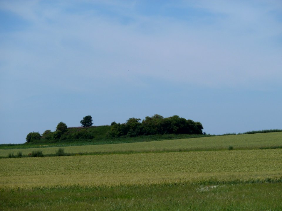 Landen-Tumulus van Waasmont (1)