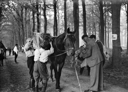 Landelijke ruiters in Soestdijk, Bestanddeelnr 902-3647 photo