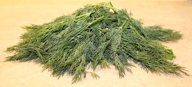 The family umbrella seasoning culinary seasoning
