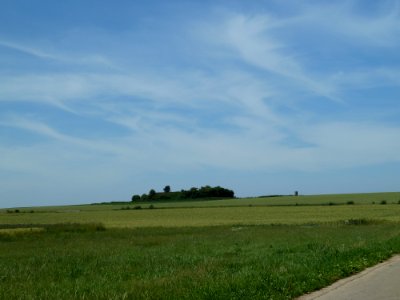 Landen-Tumulus van Waasmont (2)