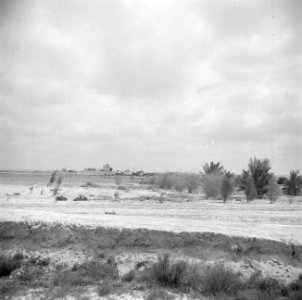 Landerijen in de buurt van kibboets Revivim, Bestanddeelnr 255-0786