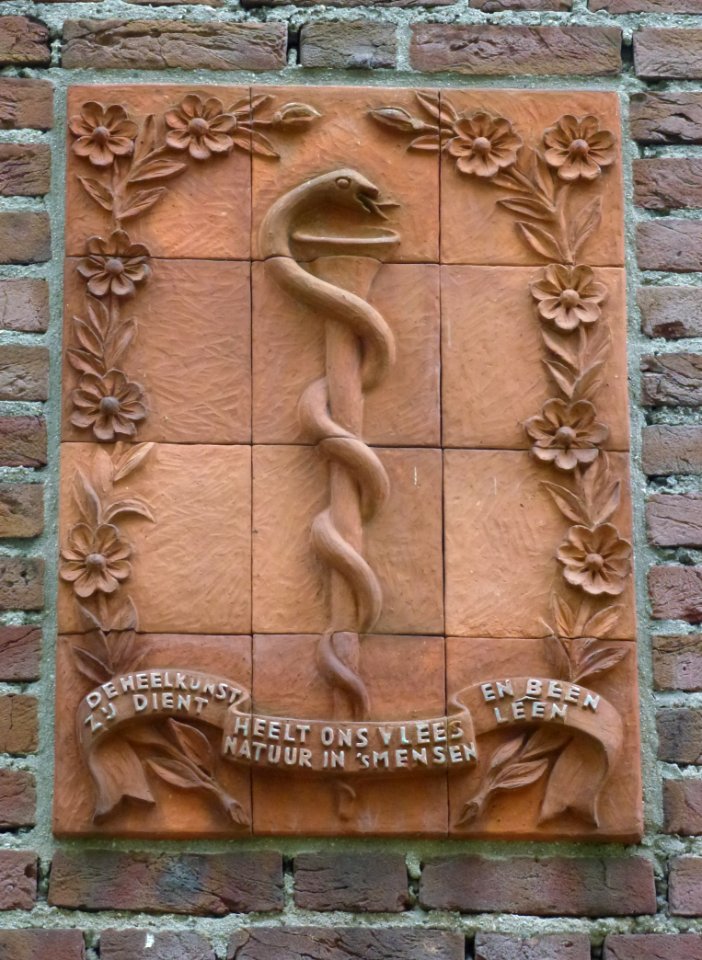 Landerd, Schaijk huis Dr.Langendijk Rijksweg 38 geveltegels met esculaap
