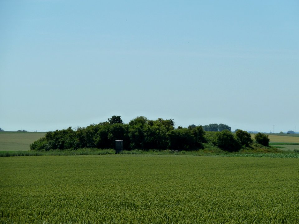 Landen-Tumulus van Waasmont (4)