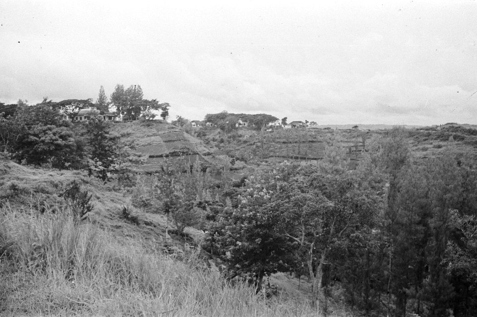 Landschap, Bestanddeelnr 178-2-1