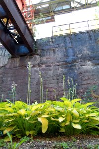 Landschaftspark Duisburg 2012-08-18-9799