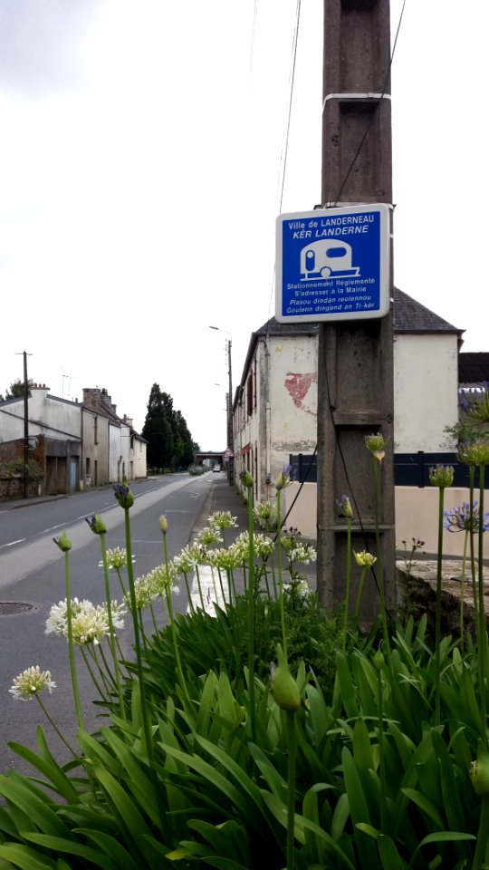 Landerneau - Rue de la Tour d'Auvergne - Panneau de stationnement réglementé