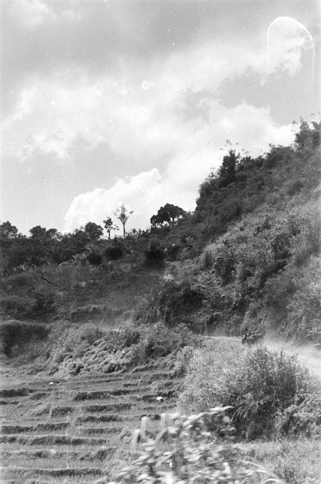 Landschap, Bestanddeelnr 61-2-5