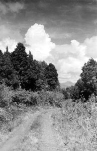 Landschap, Bestanddeelnr 182A-6-6