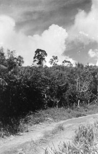Landschap, Bestanddeelnr 184-2-6
