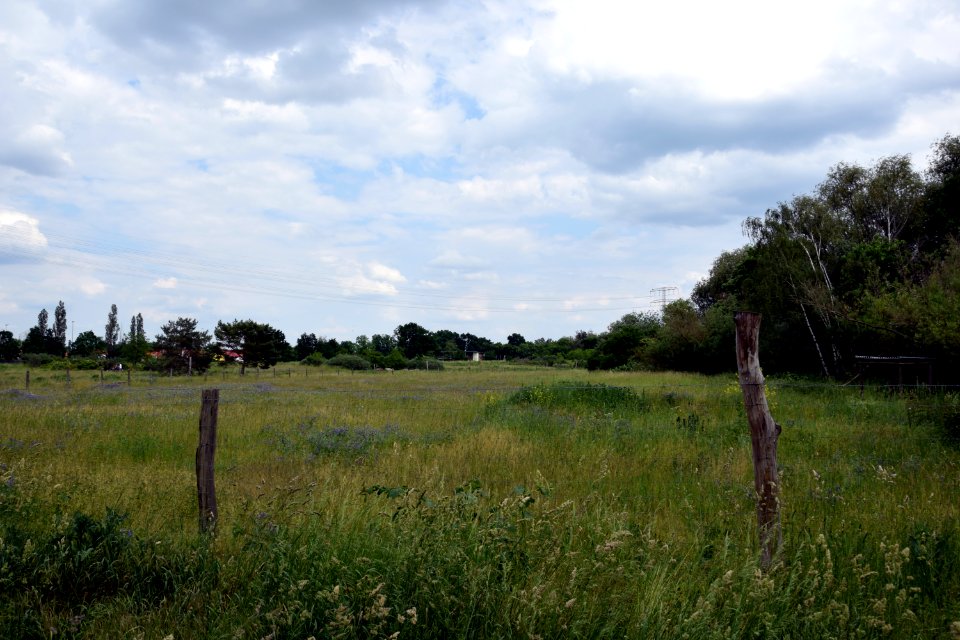 Landschaftspark am Gehrensee (Berlin-Falkenberg) 4v4