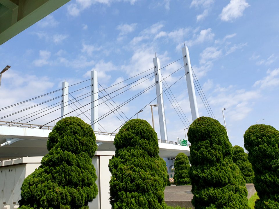 Landscapes of Haneda, shot from the free shuttle bus 31