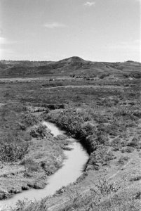 Landschap, Bestanddeelnr 261-2-2