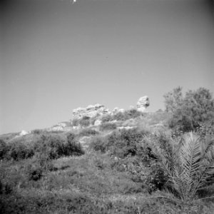 Landschap met archeologische muurresten bij Askalon, Bestanddeelnr 255-1457