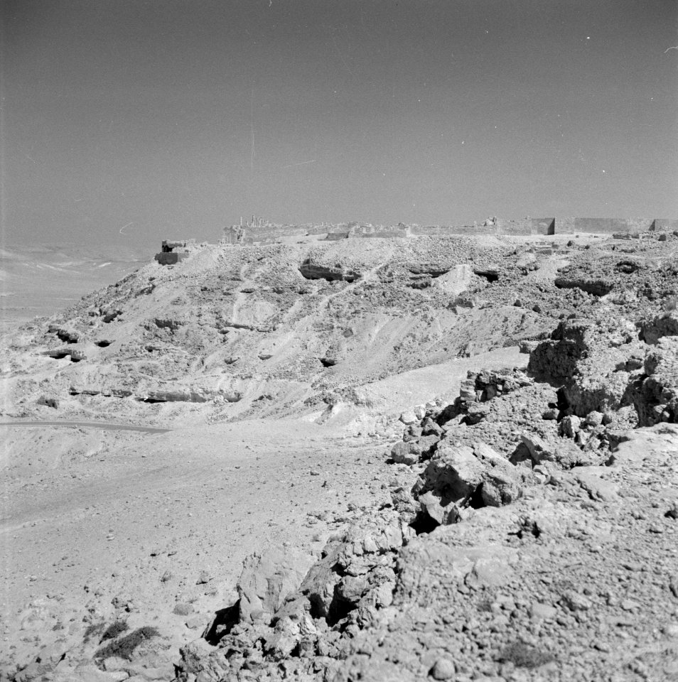 Landschap met berg met daarop de resten van de oude stad Avdat, Bestanddeelnr 255-3307