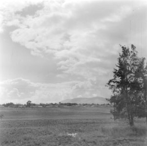 Landschap in Galilea met aan de horizon een berg, door de fotograaf aangeduid al, Bestanddeelnr 255-0822