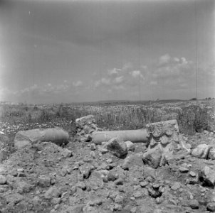 Landschap bij Caesarea met archelogische resten waaronder delen van zuilen, Bestanddeelnr 255-1484