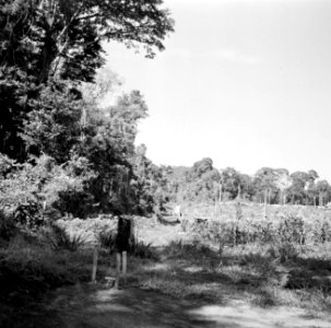 Landschap bij Brokopondo, Bestanddeelnr 252-5129