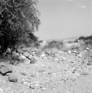 Landschap bij Magdala met rotsblokken, Bestanddeelnr 255-4149