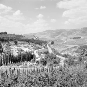 Landschap met bergen en bomen, Bestanddeelnr 255-2599
