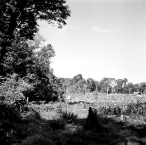 Landschap bij Brokopondo, Bestanddeelnr 252-5211