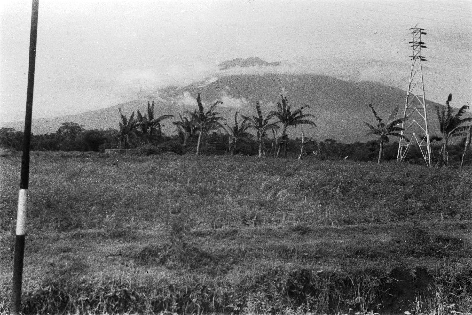 Landschap met (palm)bomen, electriciteitsmast en een vulkaan, Bestanddeelnr 109-5-1